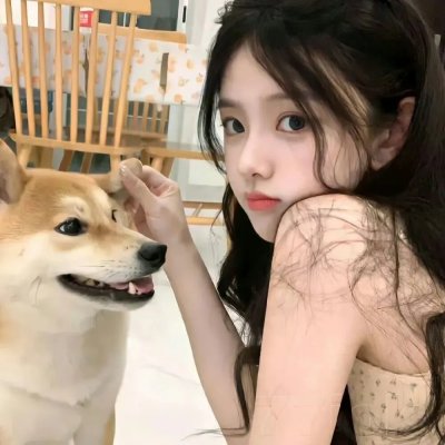 暴龙真相